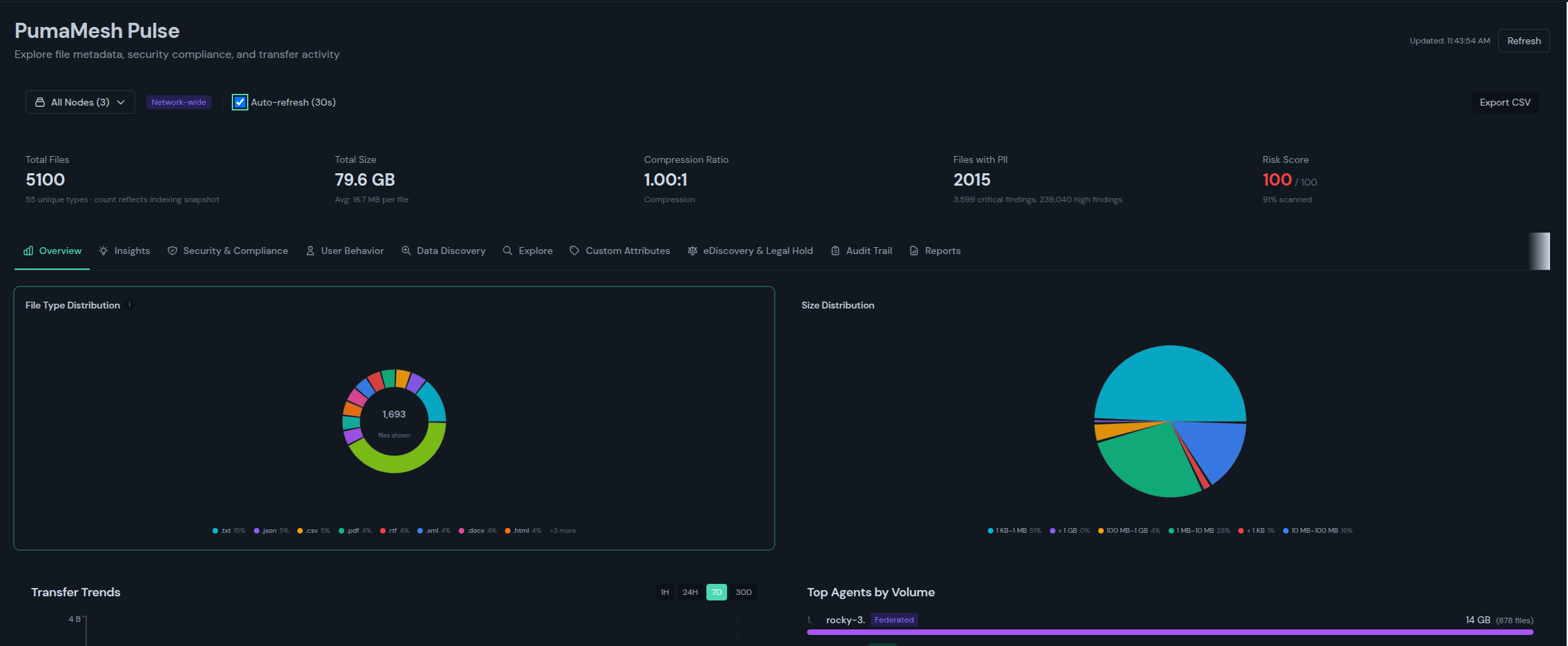 PumaMesh Pulse overview with risk, PII, and storage metrics